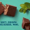 Gewild Worden Clif Bar | Mini'S Van Chocolademunt