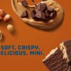 Clif Clif Bar | Mini'S Met Chocolade-Pindakaassmaak